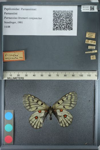 Media type: image;   Entomology 174246